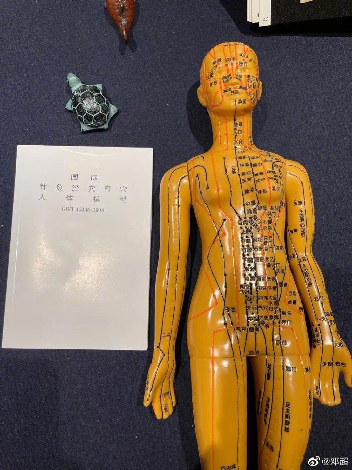 邓超晒针灸人体模型问